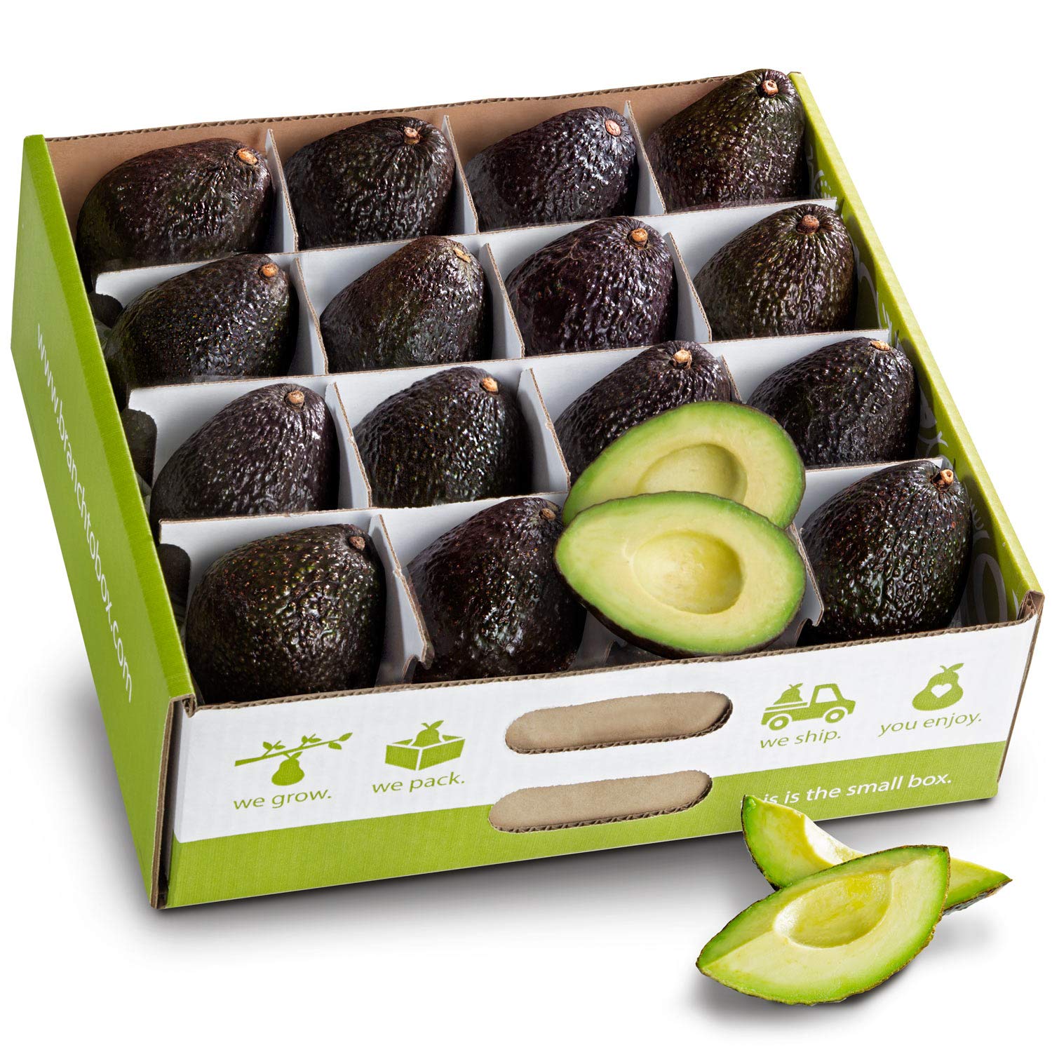 Hass Avacado 1×18