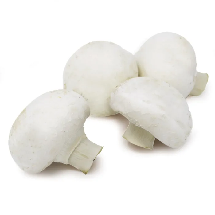 Cup-Mushrooms-1×2.5kg