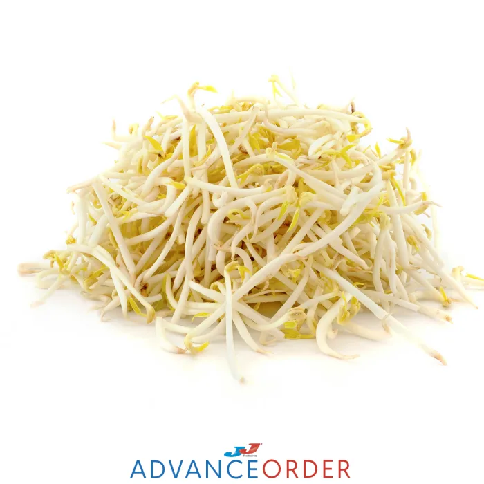 Fresh-Bean-Sprouts-1x4kg