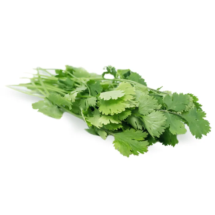 Fresh-Coriander-1 Bunches