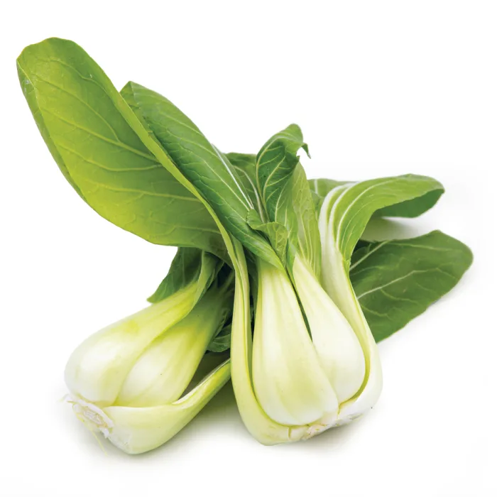 Fresh-Pak-Choi-1×10-1