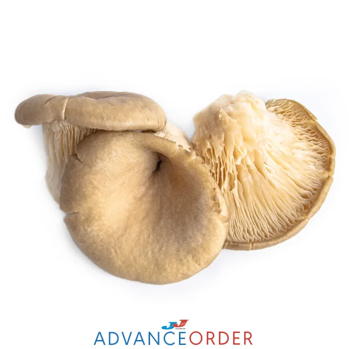 Oyster-Mushrooms-1×1.5kg