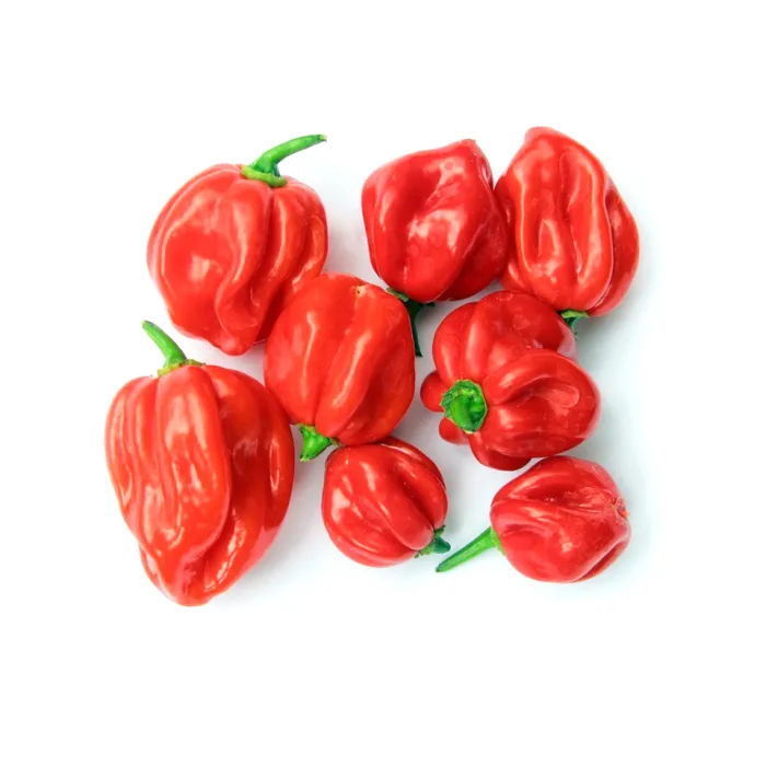 Scotch-Bonnet-Peppers-1x2kg