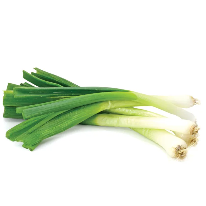 Spring-Onion-Bunches-1×16